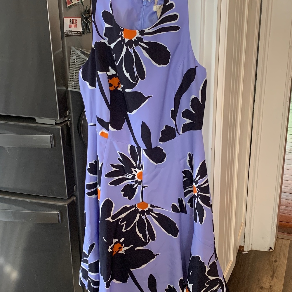 J.Crew fully lined‎ floral dress. Worn about twice